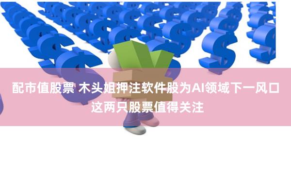 配市值股票 木头姐押注软件股为AI领域下一风口 这两只股票值得关注