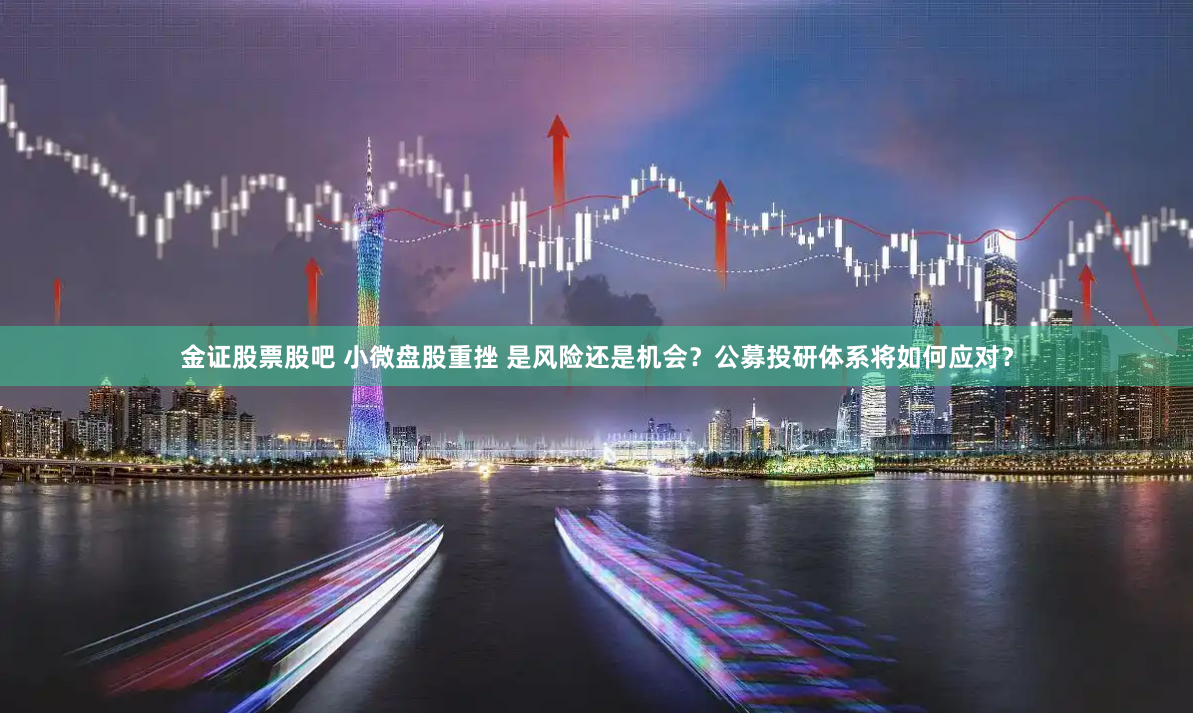 金证股票股吧 小微盘股重挫 是风险还是机会？公募投研体系将如何应对？