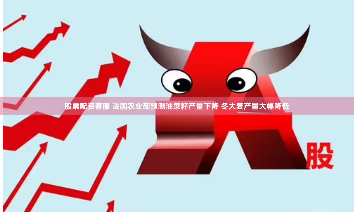 股票配资客服 法国农业部预测油菜籽产量下降 冬大麦产量大幅降低